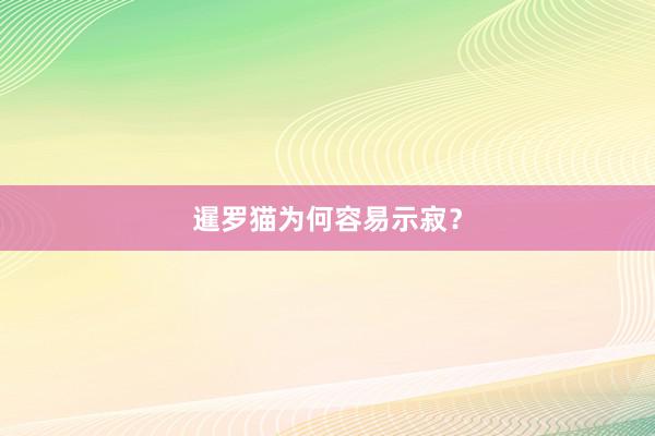 暹罗猫为何容易示寂？